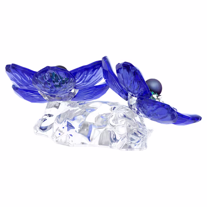 Idyllia SCS Anemone Coronaria Flower